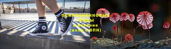 дмт Покровск