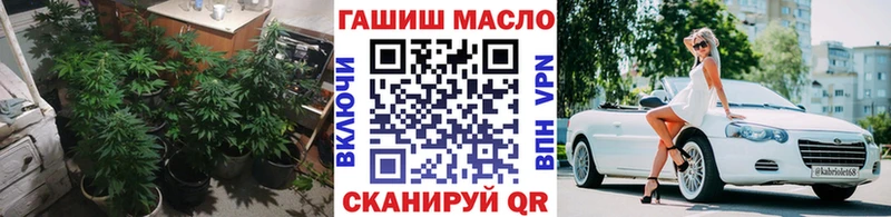 сколько стоит  ссылка на мегу как войти  Дистиллят ТГК вейп  Зверево 